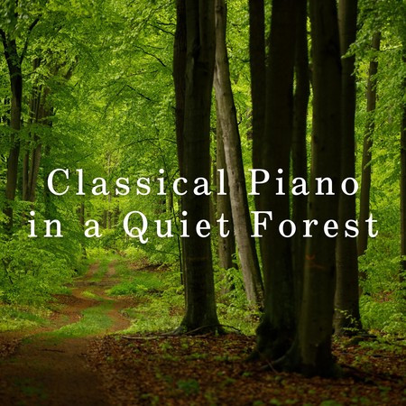 Classical Piano in a Quiet Forest