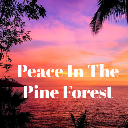 Peace In The Pine Forest