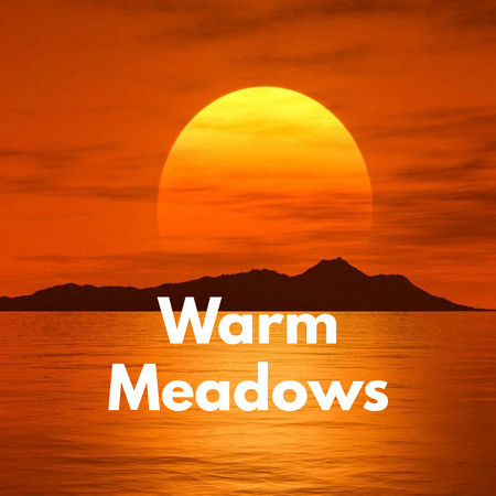 Warm Meadows