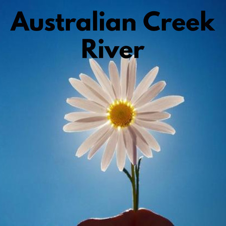 Australian Creek River