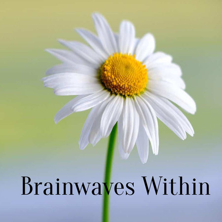 Brainwaves Within