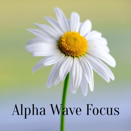 Alpha Wave Focus