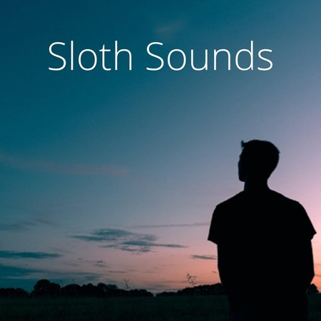 Sloth Sounds