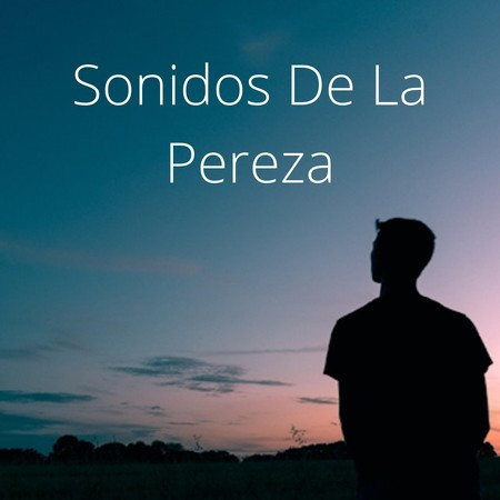 Sonidos De La Pereza