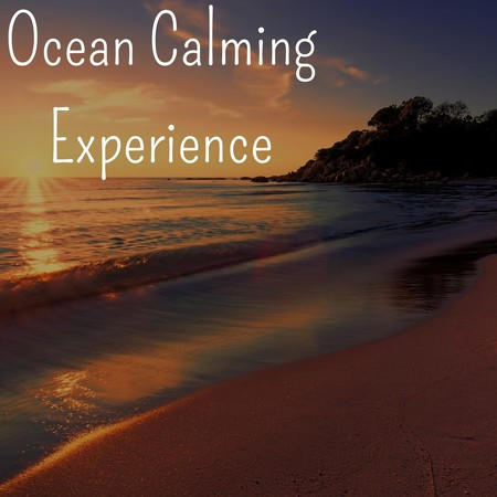 Ocean Calming Experience
