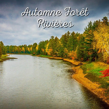Automne Forêt Rivières