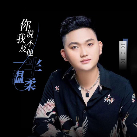 你說我不及他一半的溫柔