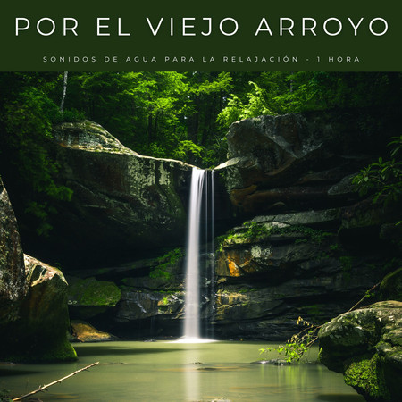 Por El Viejo Arroyo: Sonidos De Agua Para La Relajación - 1 Hora