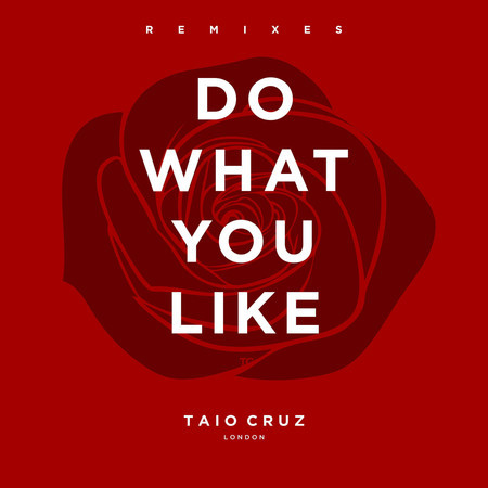 Do What You Like (Radio Edit)