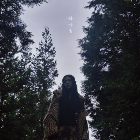 Polaris(북극성)