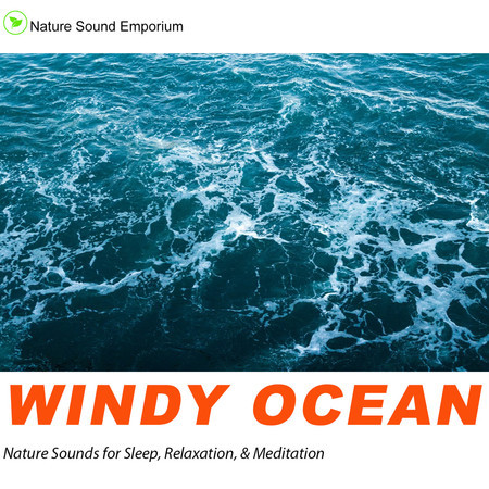 Windy Ocean