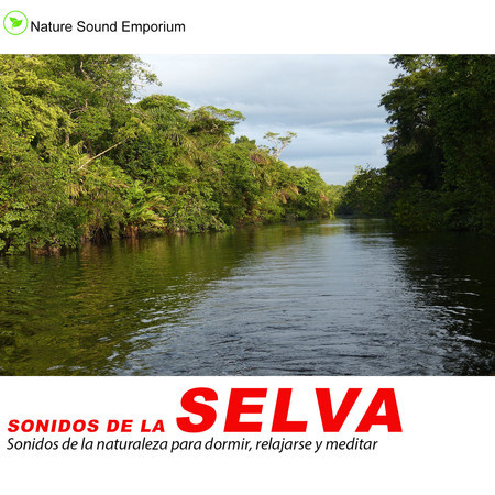 Sonidos De La Selva 4