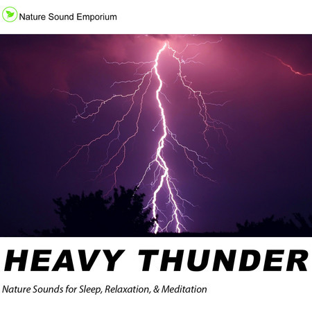 Heavy Thunder 3