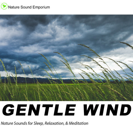 Gentle Wind