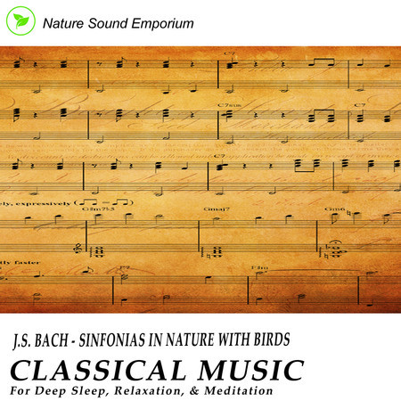 J.S. Bach - Sinfonias With Birds