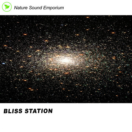 Bliss Station