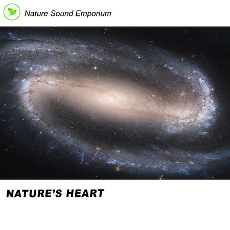 Nature's Heart