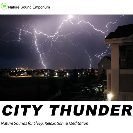 City Thunder