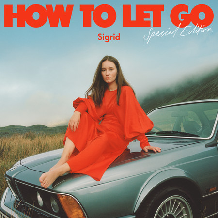 How To Let Go (Special Edition) 專輯封面