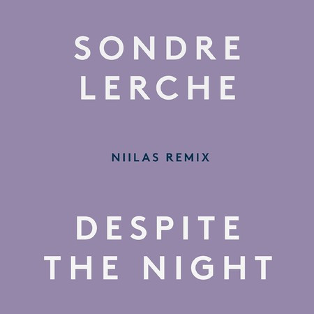Despite the Night (Niilas Remix)