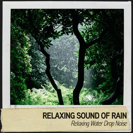 Relaxing Sound of Rain: Relaxing Water Drop Noise