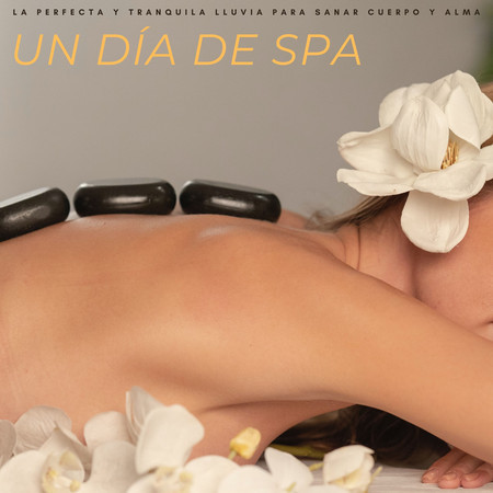 Un Día De Spa: La Perfecta y Tranquila Lluvia Para Sanar Cuerpo y Alma