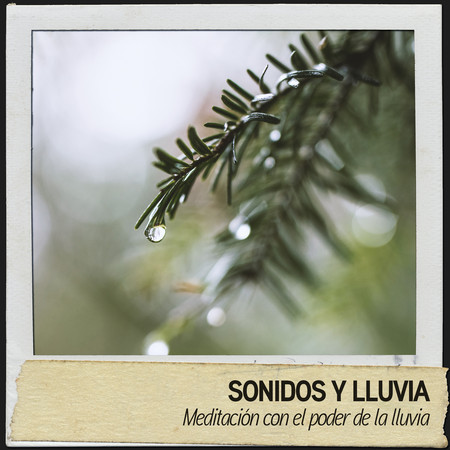 Sonidos y Lluvia: Meditación con el poder de la lluvia