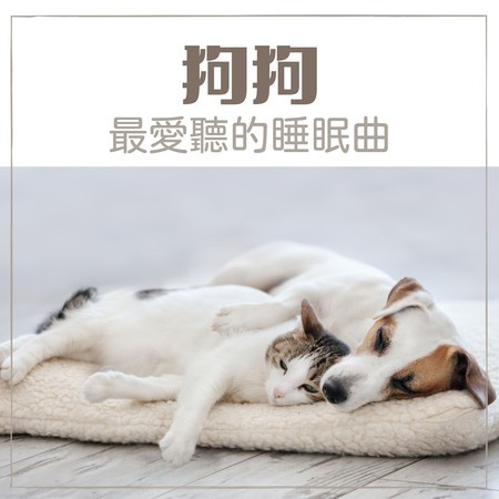 阿爾法波