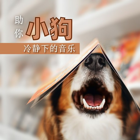 放鬆小寵物的歌曲