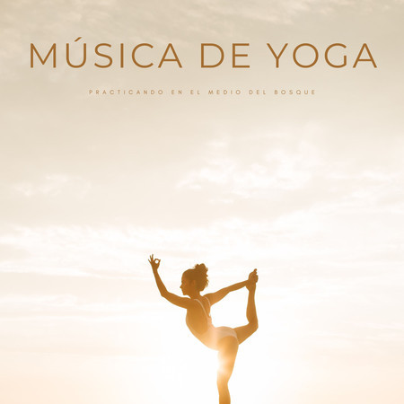 Música De Yoga: Practicando En El Medio Del Bosque