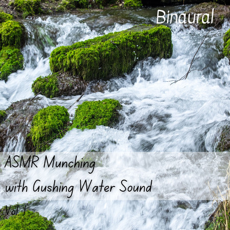 Binaural: ASMR Munching with Gushing Water Sound Vol. 1