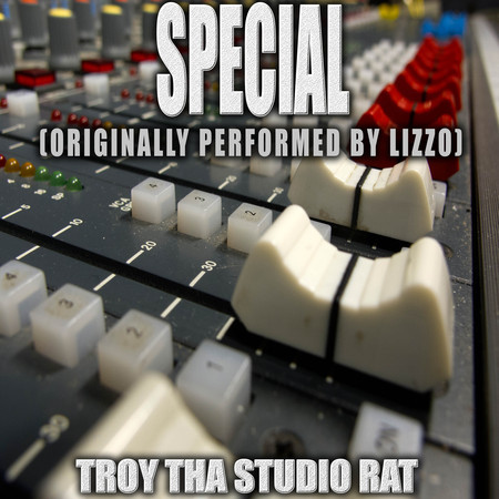 Special (Originally Performed by Lizzo) (Instrumental Version)