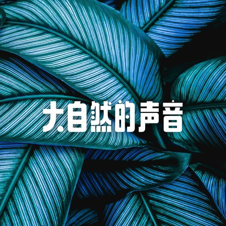 氛圍音樂