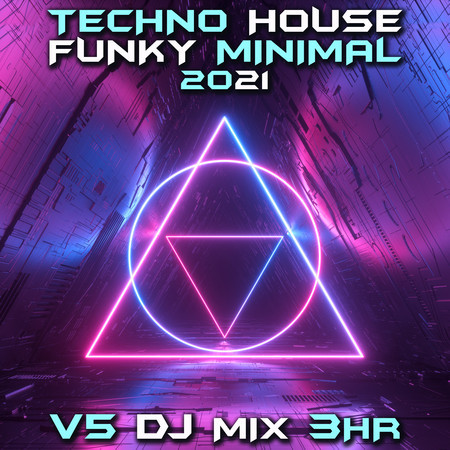 Haiku (Techno House 2021 Mix) (Mixed)