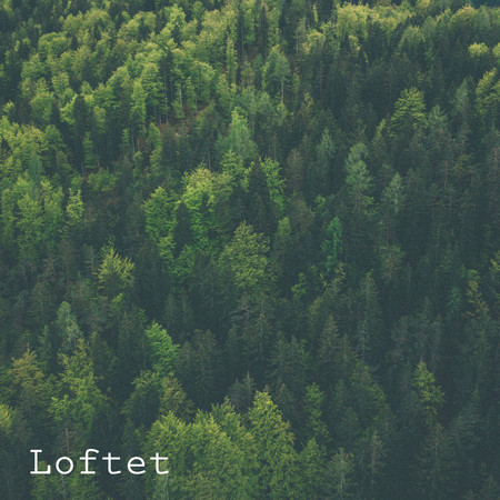 Shallow專輯 - Loftet - LINE MUSIC
