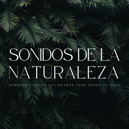 Sonidos De La Naturaleza: Serenos Vientos Del Bosque Para Sanar Tu Alma