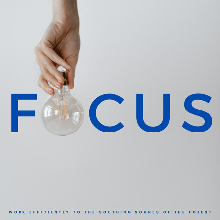 Focus: Work Efficiently To The Soothing Sounds Of The Forest