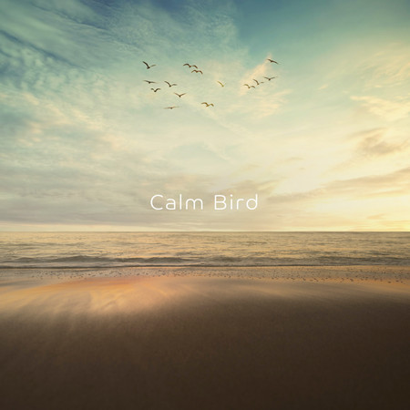 Calm Bird (Sound Bath Edit)