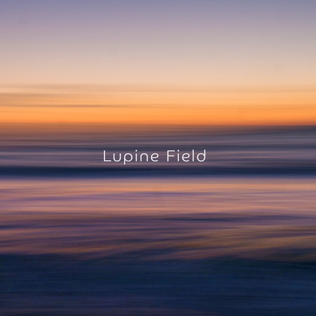 Lupine Field (Sound Bath Edit)