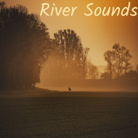 River Sounds
