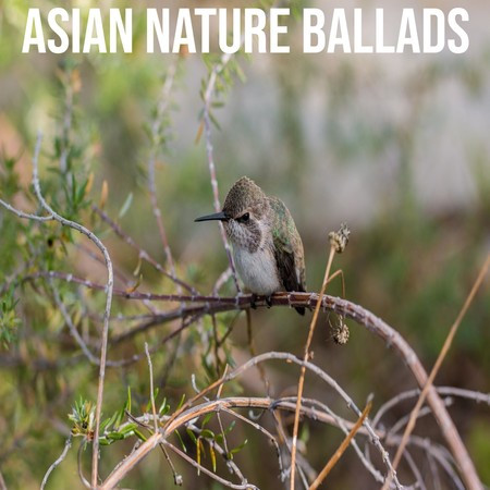 Asian nature ballads