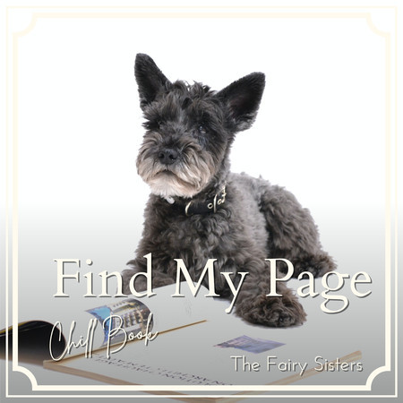 Find My Page - Chill Book
