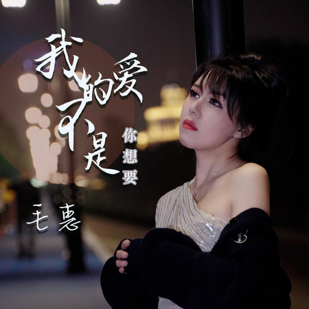 我的愛不是你想要