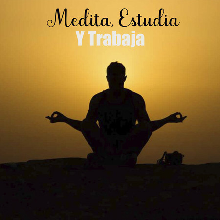 Medita, Estudia Y Trabaja