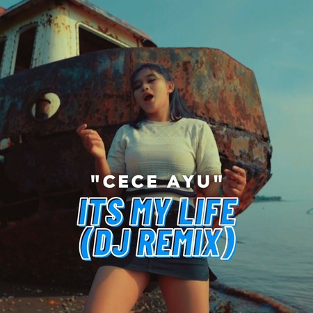 Its My Life (DJ Remix)