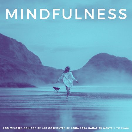 Mindfulness: Los Mejores Sonidos De Las Corrientes De Agua Para Sanar Tu Mente Y Tu Alma