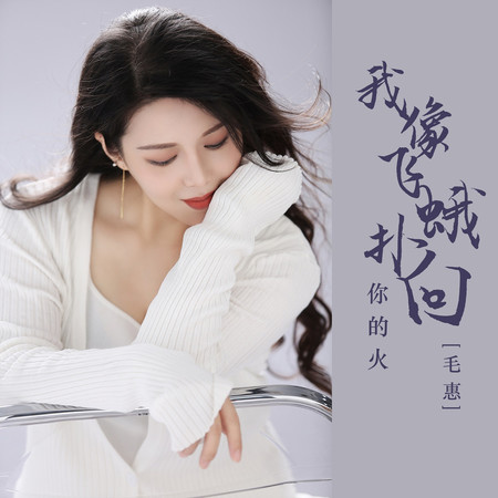 我像飛蛾撲向你的火