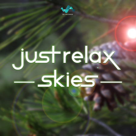 Just Relax Skies