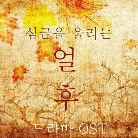 심금을 울리는 얼후(드라마 Original Soundtrack 인기가요)