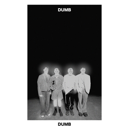 Dumb 專輯封面